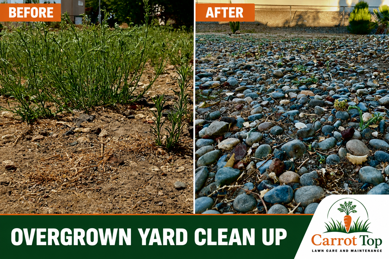 Carrot Top Overgrown Yard Clean Up before-and-after project